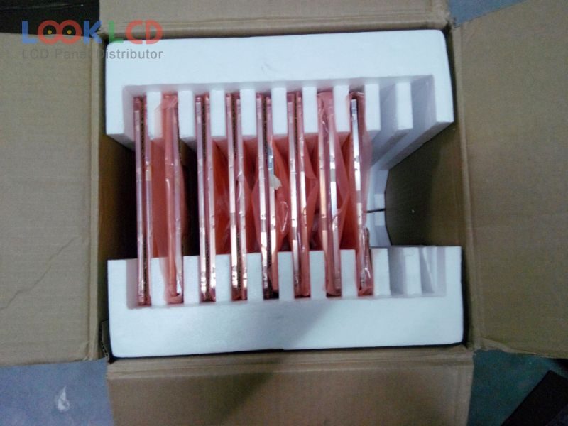 HB156WX1-100