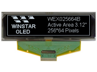 WEX025664BW
